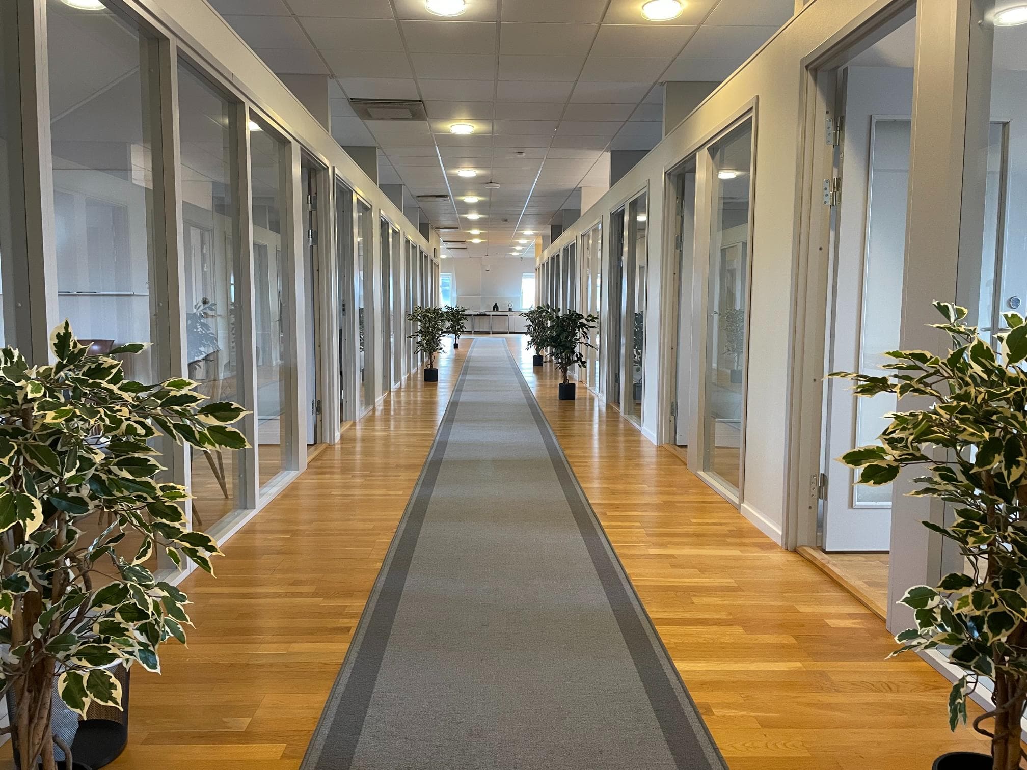 Efter fasadrenovering – dörr och karm med ny färg