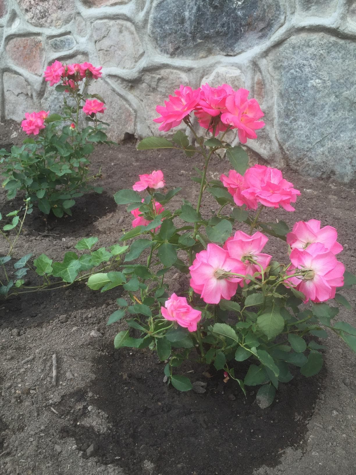 Efter fasadrenovering – jämn och snygg husvägg