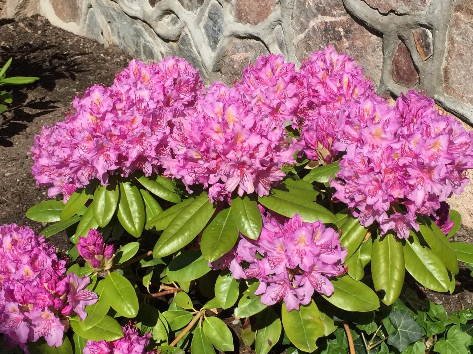 Efter fasadrenovering – pannplåt och takdetalj renoverad