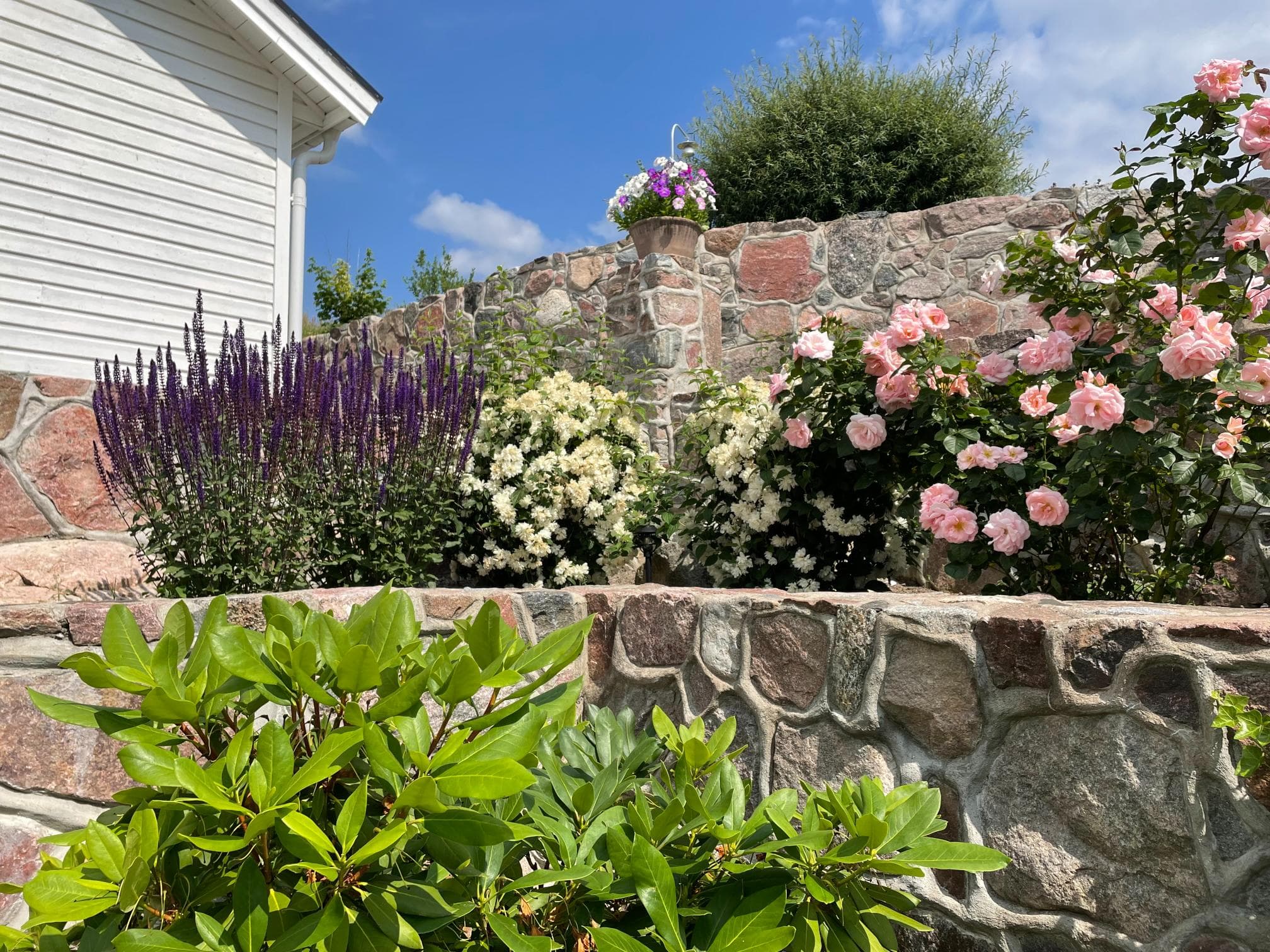 Efter fasadrenovering – fasad i helhet med proffsigt slutresultat