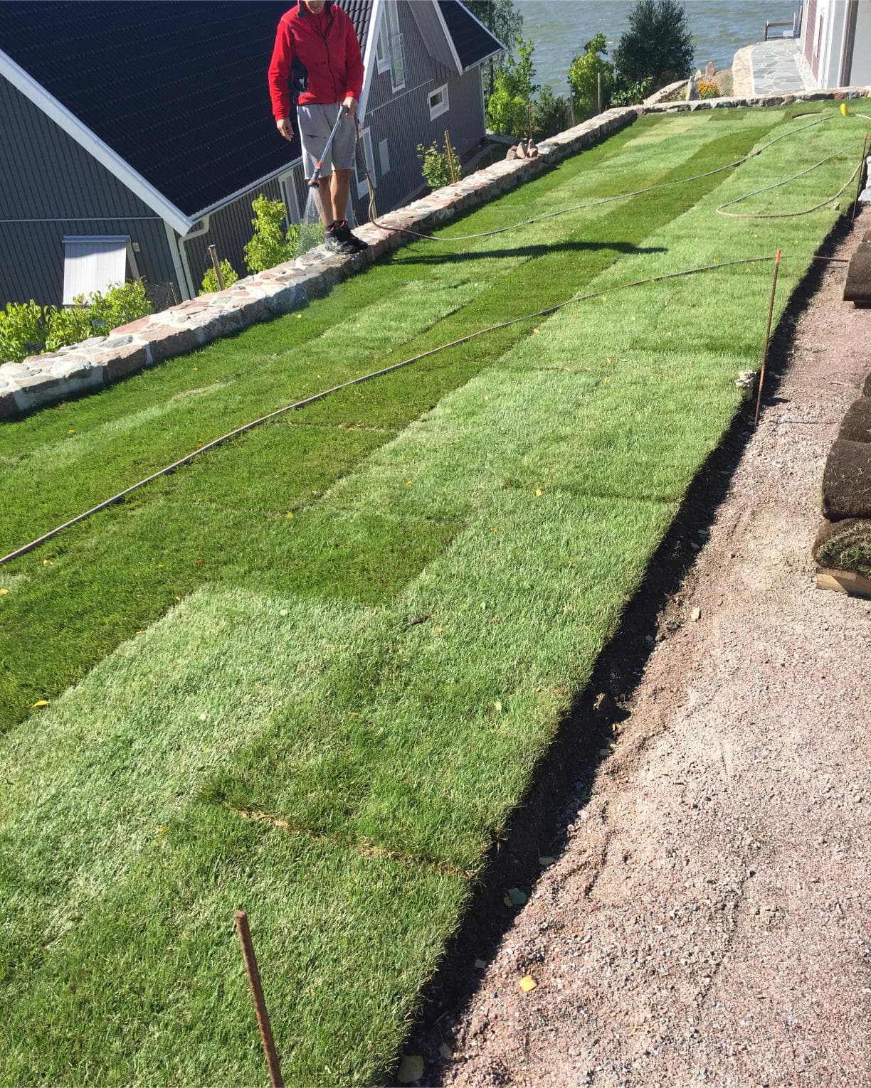 Efter trädgårdsomgestaltning – välskötta träd och buskar