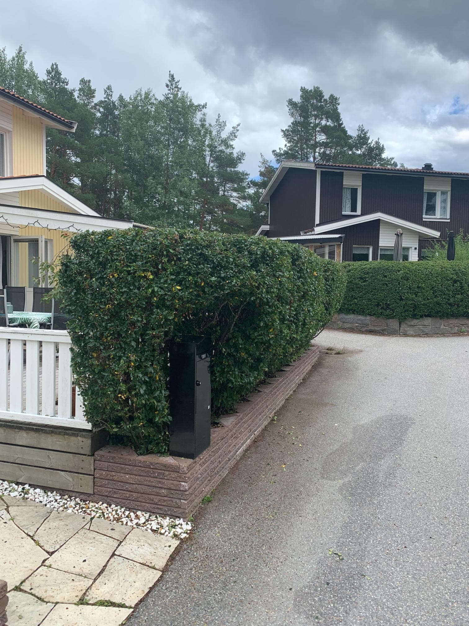 Efter trädgårdsomgestaltning – jämn gräsmatta och nyplantering