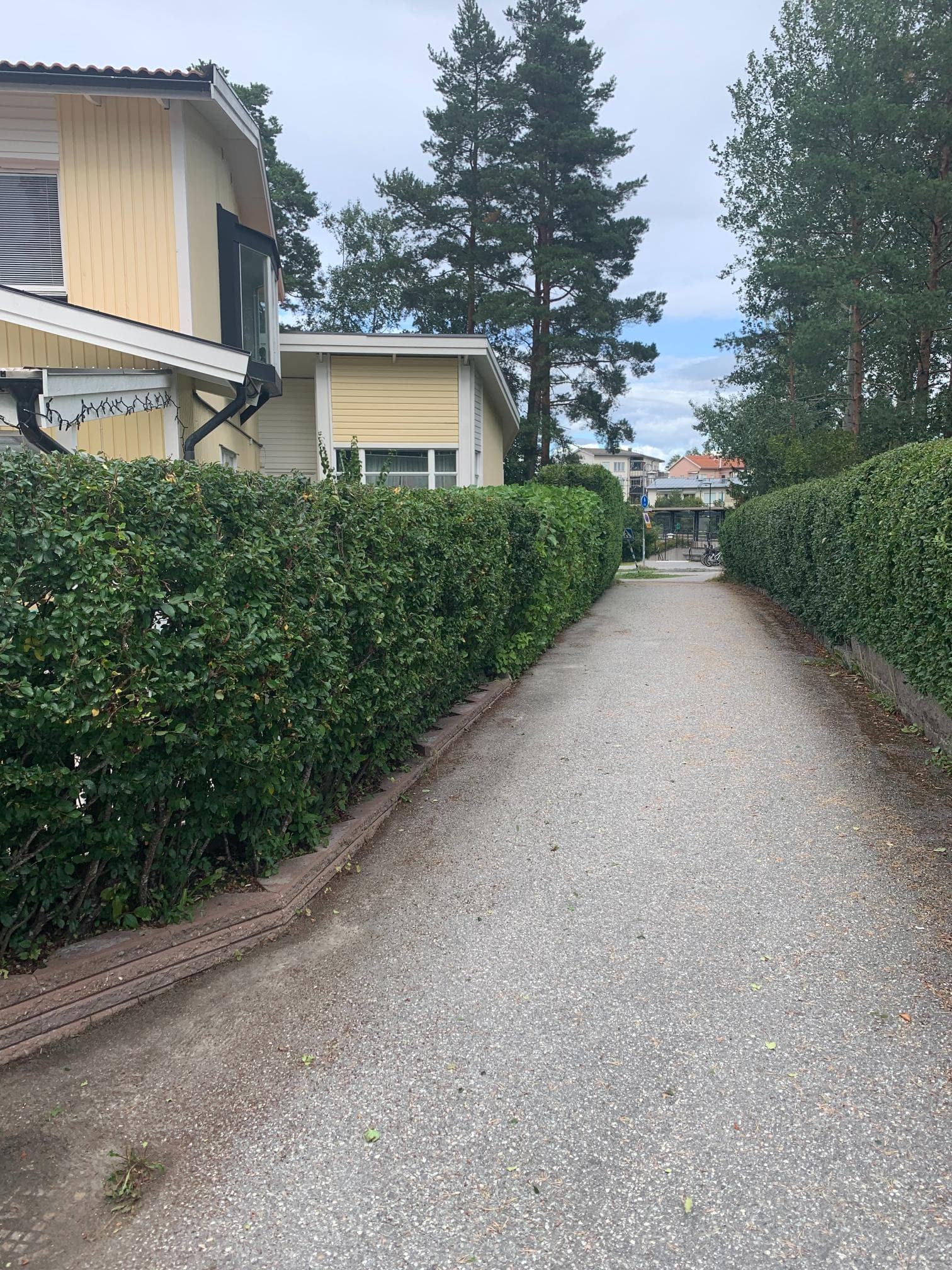 Efter trädgårdsomgestaltning – ny stenläggning utan ogräs