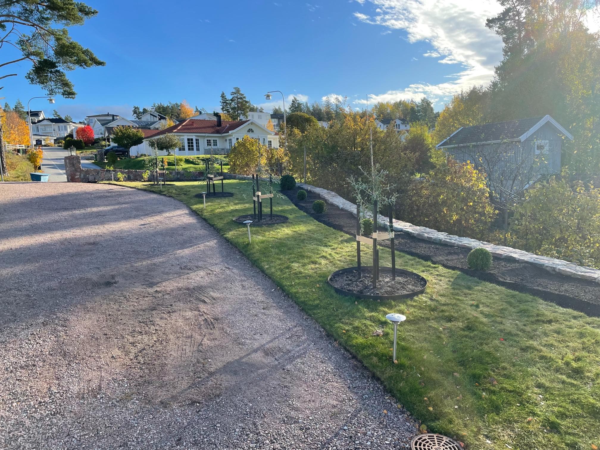 Efter trädgårdsomgestaltning – tomt med ny vegetation och design