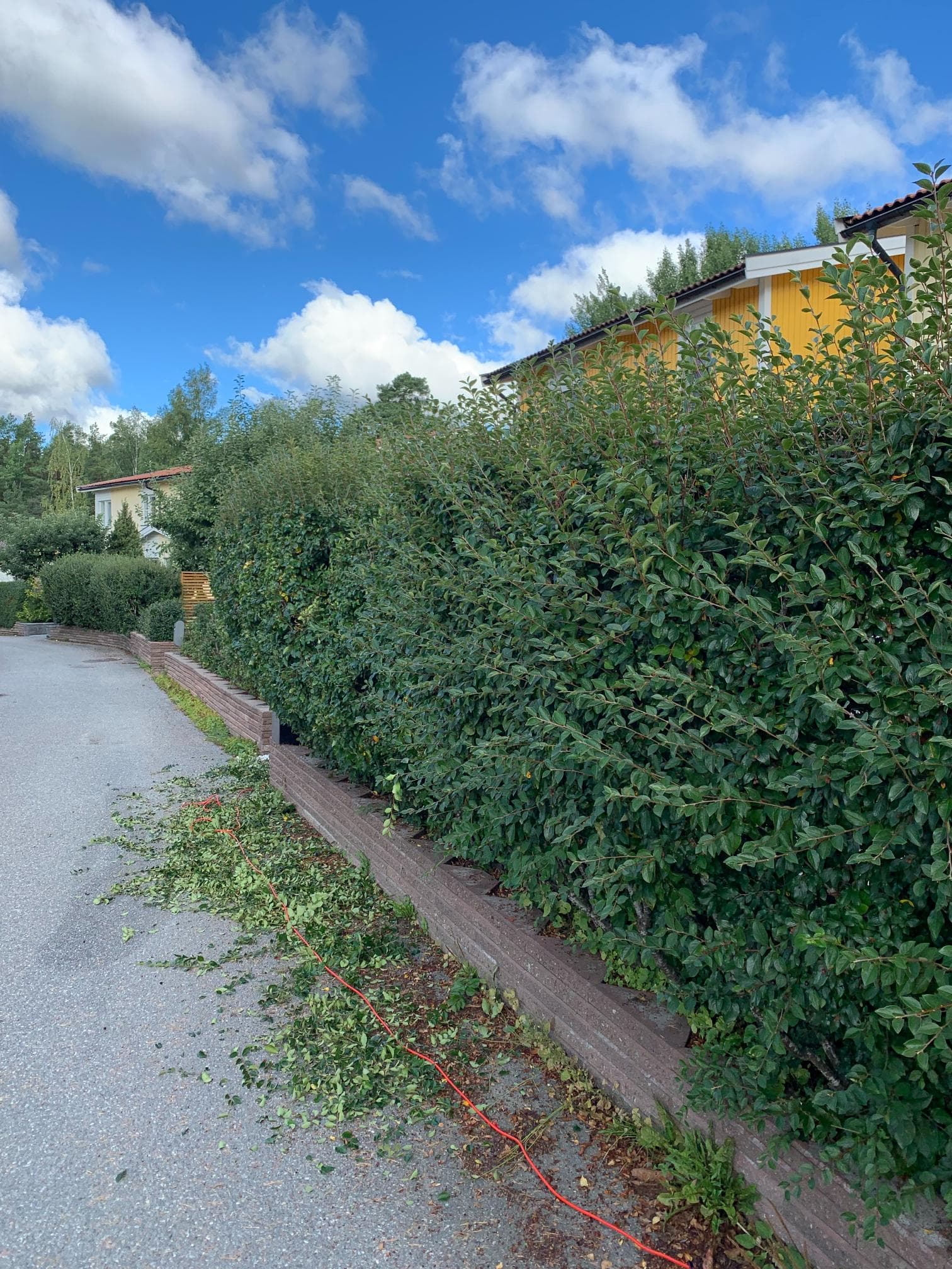 Före trädgårdsomgestaltning – tomt i ursprungsskick